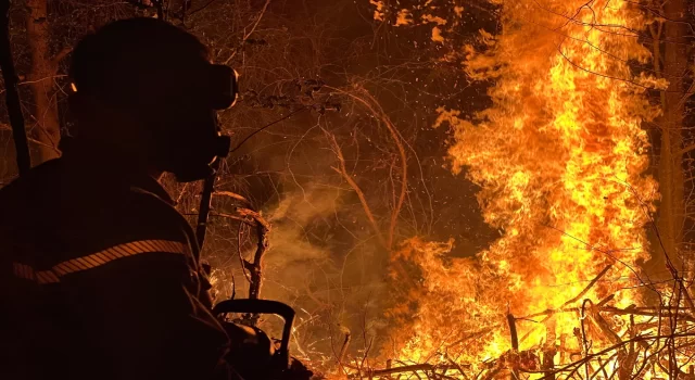 Düzce’de çıkan yangında yaklaşık 6 dönüm ormanlık alan zarar gördü