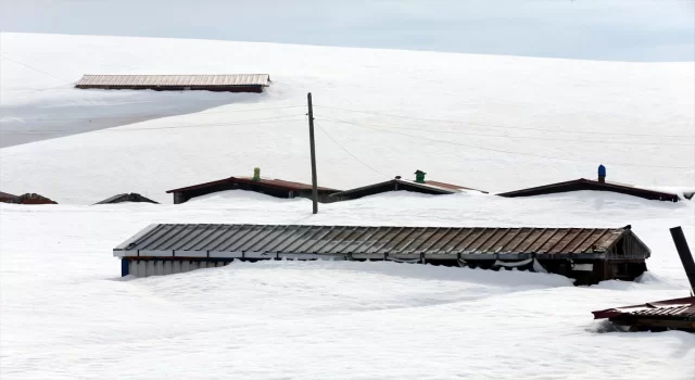 Ardahan’da yayla evleri ilkbaharda kara gömüldü