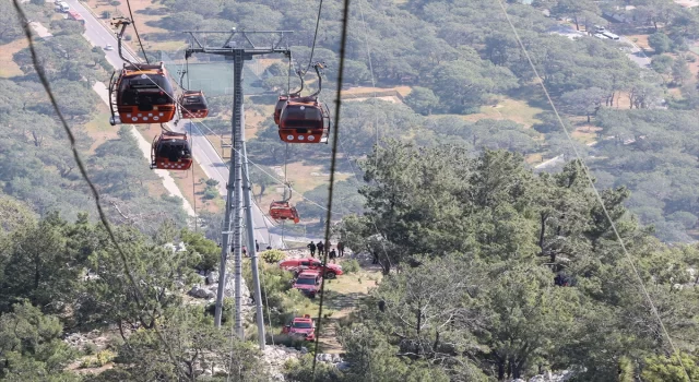 AFAD Başkanı Memiş, Antalya’daki teleferik kazasına ilişkin açıklamada bulundu: