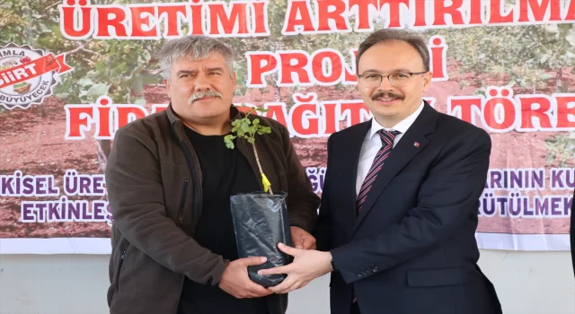 Siirt’te üreticilere 125 bin fıstık fidanı dağıtıldı