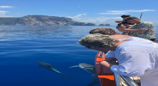 Alanya’da tur teknesine eşlik eden yunuslar görüntülendi 