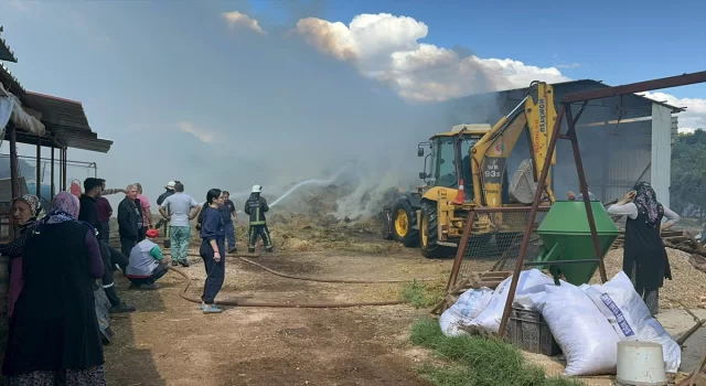 Antalya’da besihanede çıkan yangın hasara neden oldu