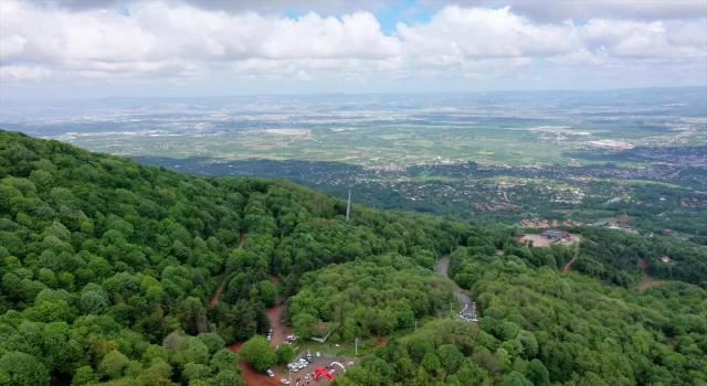 Kocaeli’de düzenlenen AVIS 2024 Türkiye Tırmanma Şampiyonası’nın 2. ayağı tamamlandı