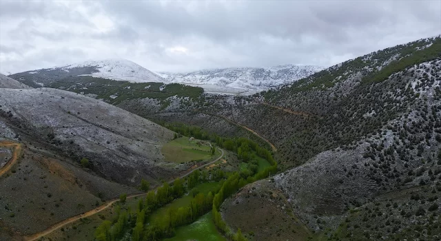 Bayburt ve Gümüşhane’nin yüksek kesimlerinde kar yağışı