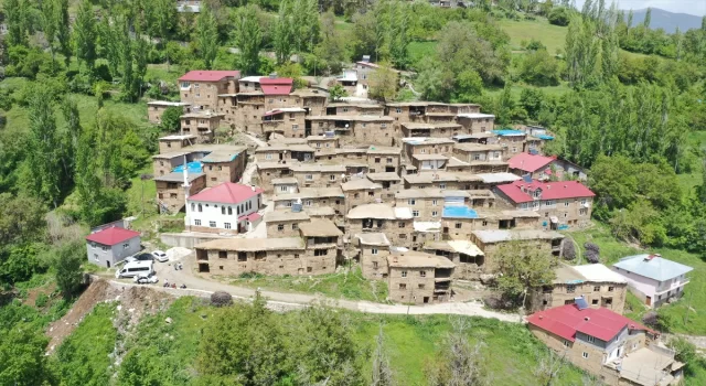 Fotoğraf tutkunları Bitlis’teki taş evleri görüntüledi