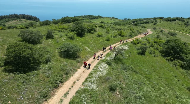 Tekirdağ’da müze çalışanları Ganos Dağı eteklerindeki ormanlarda yürüyüş yaptı