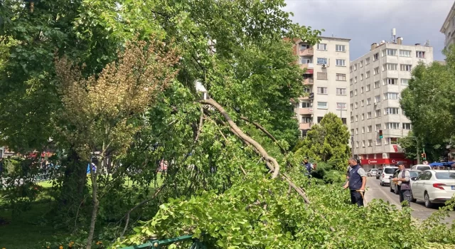 Eskişehir’de dut ağacının kırılan dalları seyir halindeki otomobilin üzerine devrildi