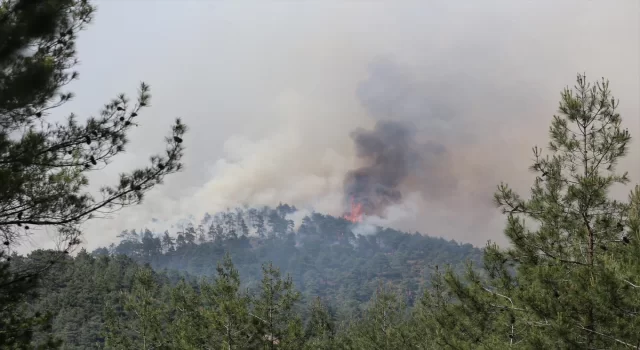 GÜNCELLEME Bursa’da çıkan orman yangınına müdahale ediliyor