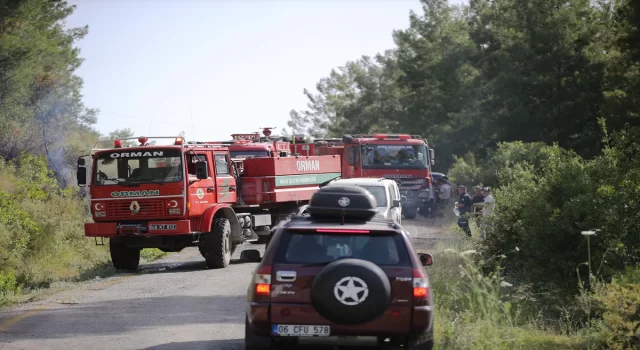 GÜNCELLEME Muğla’nın Milas ilçesinde çıkan orman yangını söndürüldü