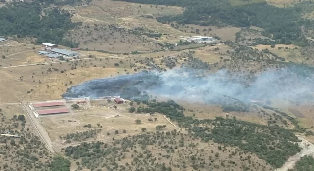 Balıkesir’de çıkan orman yangını kontrol altına alındı