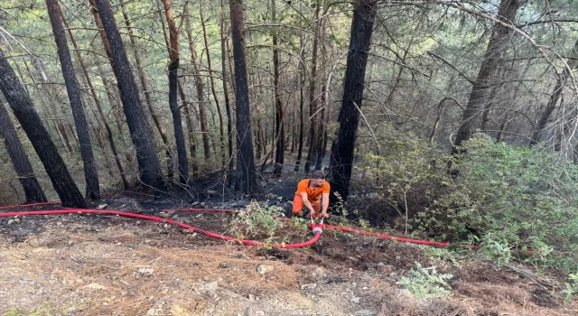 GÜNCELLEME 2  Antalya’nın Manavgat ilçesinde ormanlık alandaki yangın kontrol altına alındı