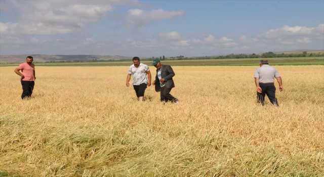 Yozgat’ın köylerinde etkili olan dolu ekili alanlara büyük zarar verdi