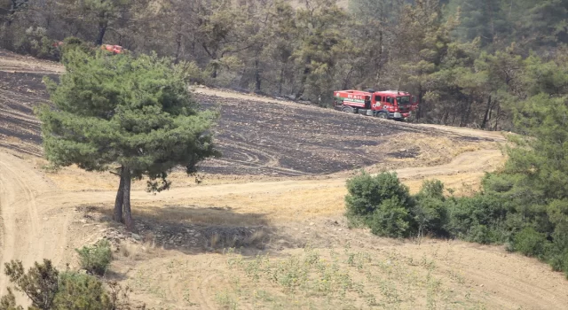 GÜNCELLEME  Adana’da çıkan orman yangını kontrol altına alındı 