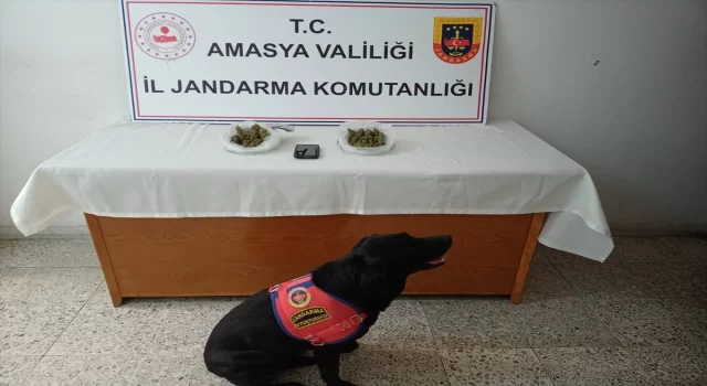 Amasya’da uyuşturucu operasyonunda 1 kişi tutuklandı