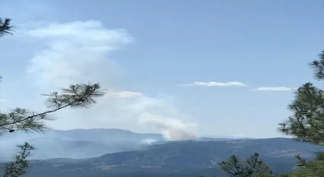 Adana’da çıkan orman yangınına müdahale ediliyor