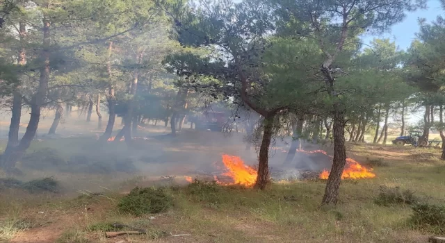 Çanakkale’de ormanlık alanda çıkan yangına müdahale ediliyor