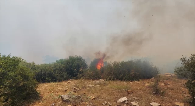 Manisa’nın Kula ilçesinde çıkan orman yangınına müdahale ediliyor