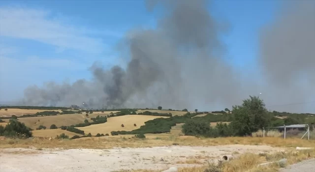 Çanakkale Ezine’de ormanlık alanda etkili olan yangına müdahale ediliyor