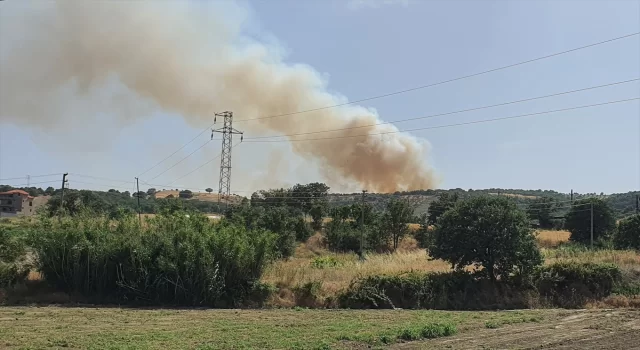 Manisa Demirci’de ormana sıçrayan yangına müdahale ediliyor