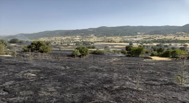 GÜNCELLEME Manisa Demirci’de ormana sıçrayan yangın kontrol altına alındı