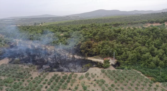 GÜNCELLEME Manisa’da çıkan orman yangını kontrol altına alındı