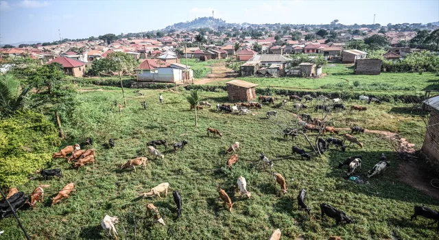 Sadece İnsan Derneği, Uganda’da Kurban Bayramı hazırlıklarını tamamladı