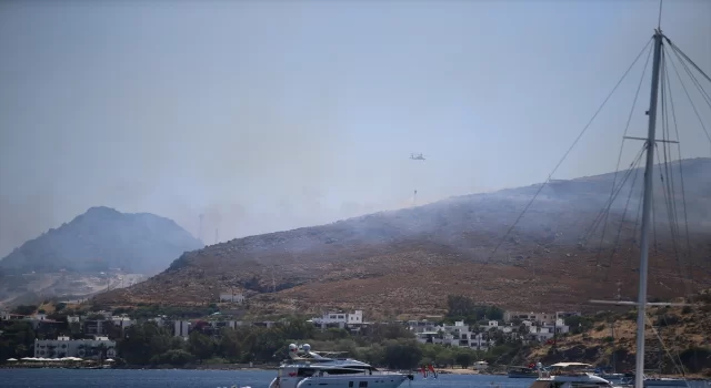 Bodrum’da otluk alanda çıkan yangın söndürüldü