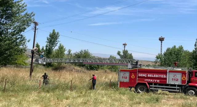 Bingöl’de itfaiye ekibi yıkılan leylek yuvasını onardı