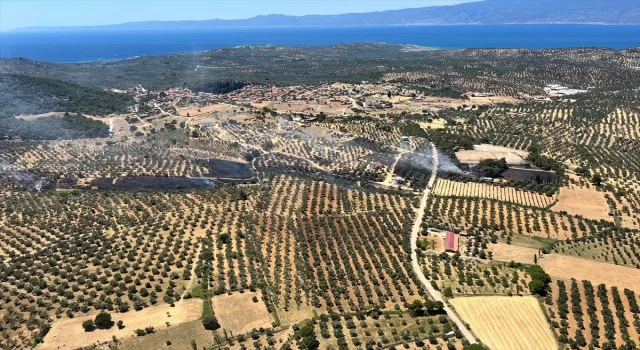 Balıkesir’de çöplükten zeytinliğe ve tarım arazisine sıçrayan yangın söndürüldü