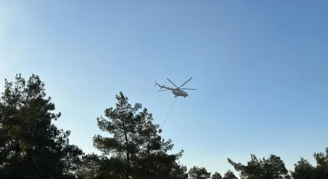 GÜNCELLEME Uşak’ta çıkan orman yangınına müdahale sürüyor