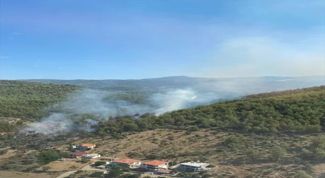 Muğla’nın Milas ilçesinde orman yangını çıktı