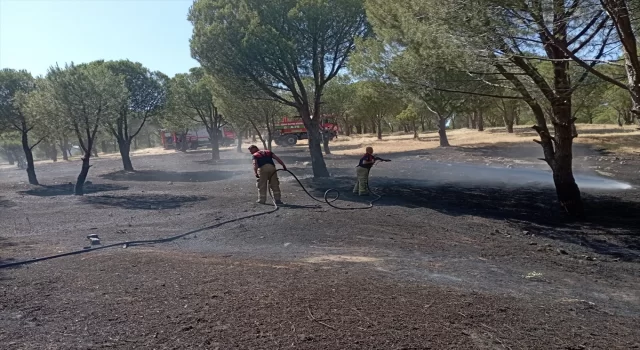 İzmir’in Karaburun ilçesinde orman yangını çıktı