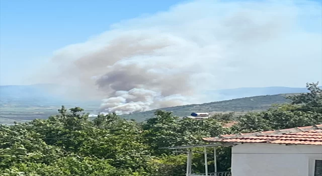 Manisa Soma’da çıkan orman yangınına müdahale ediliyor