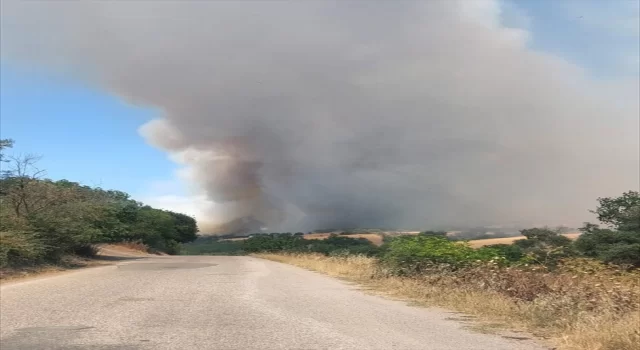 Balıkesir’de tarım arazisinde çıkan yangına müdahale ediliyor