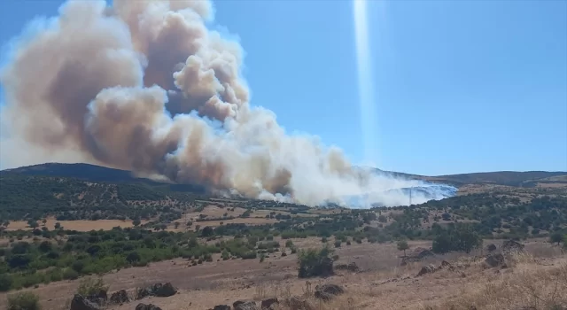 Çanakkale’de çöplük alandan ormana sıçrayan yangın sebebiyle bir mahalle tahliye edildi