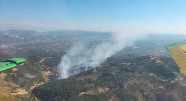 İzmir’in Bergama ilçesinde çıkan orman yangınına müdahale ediliyor