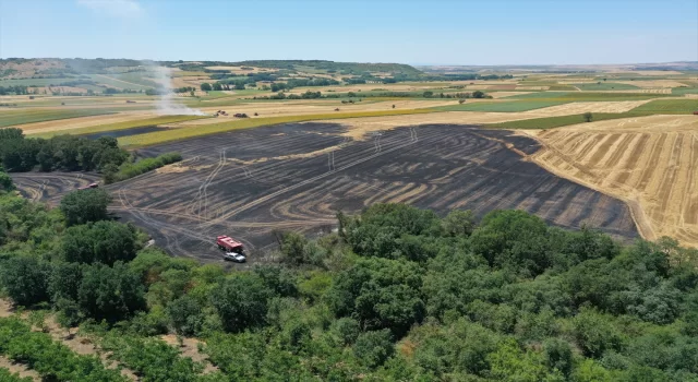 Edirne’de 25 dekarlık buğday ekili alan yandı