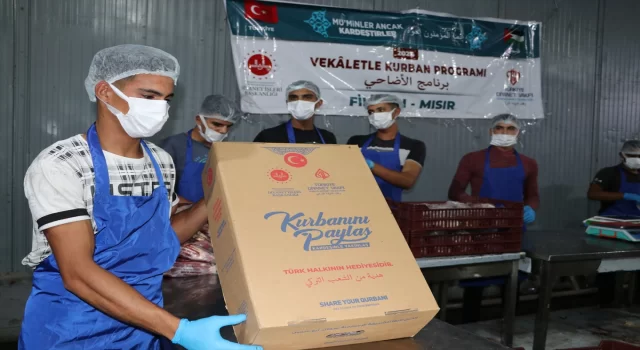 TDV’nin Filistinlilere dağıtacağı kurban etleri 10 günde paketlenecek 