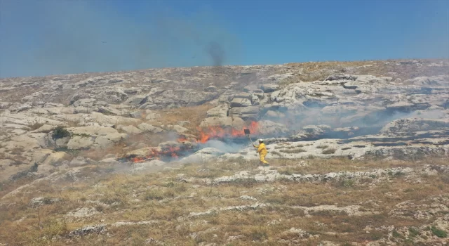 Adıyaman’da çıkan örtü yangını ormana sıçramadan söndürüldü