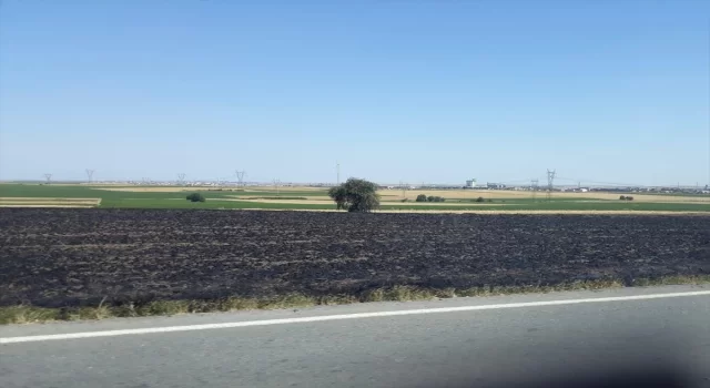 Tekirdağ’da buğday tarlasında çıkan yangın söndürüldü