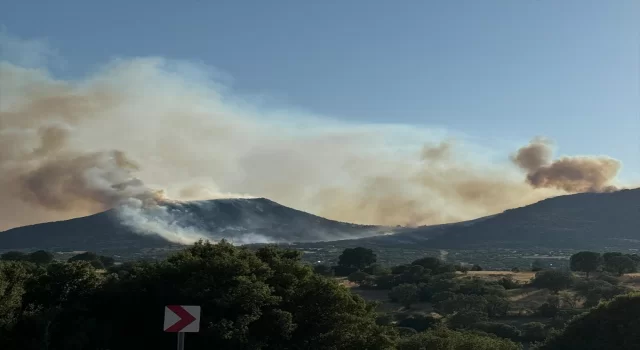 Uşak’ta orman yangınına müdahale ediliyor