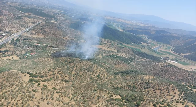 Aydın’da zeytinlik alanda çıkan yangın kontrol altına alındı