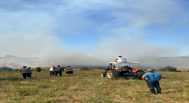 Tekirdağ’da çıkan anız yangını söndürüldü