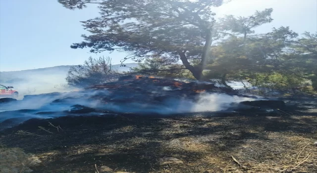 Balıkesir’de kırsal alanlarda çıkan yangınlara müdahale ediliyor