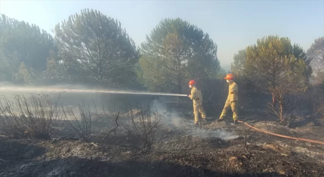 Çanakkale’de ormanlık alandaki yangın kontrol altına alındı