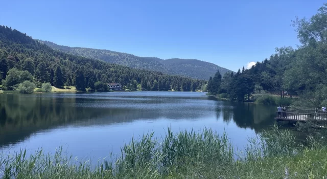 Bolu’da 1 Temmuz30 Eylül tarihleri arasında ormanlara girişler yasaklandı