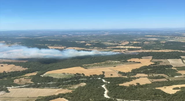 Balıkesir’de çıkan orman yangınına müdahale ediliyor 