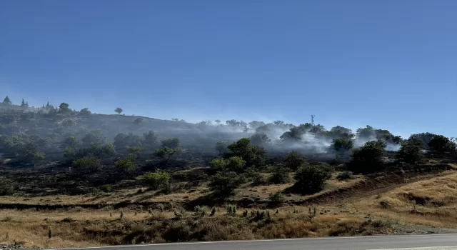 Elazığ’da çıkan yangında 45 dönüm ormanlık ve ekili alan zarar gördü