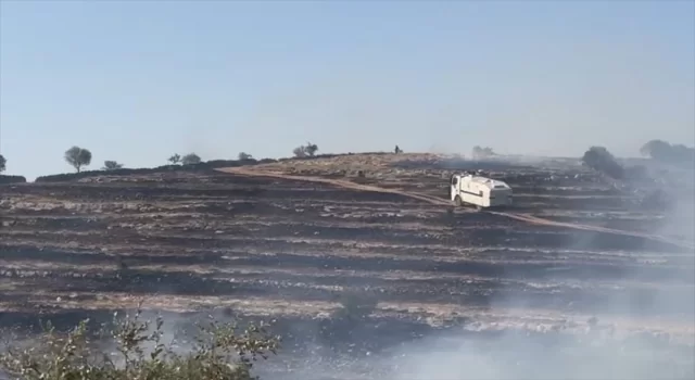 Mardin’de çıkan anız ve örtü yangını söndürüldü 