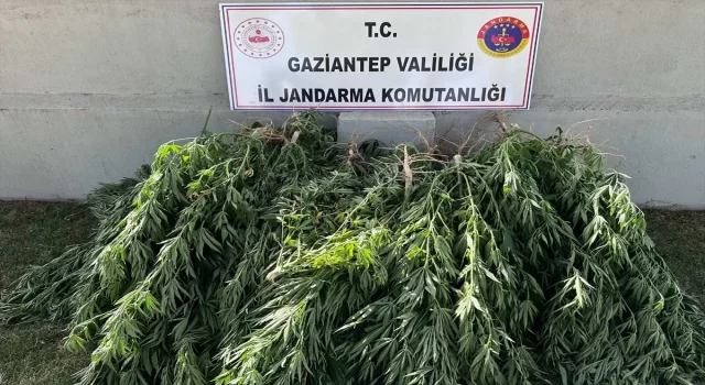 Gaziantep’te uyuşturucu operasyonunda 4 şüpheli yakalandı 